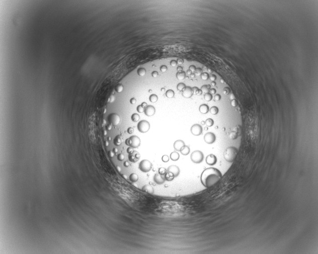 X0000068820519200605050945