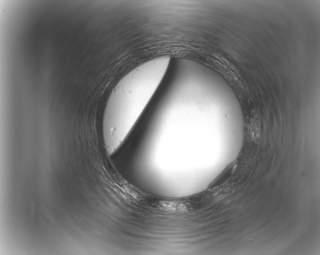 X0000068820520200605050945