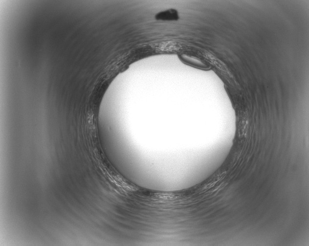 X0000068820521200605050945