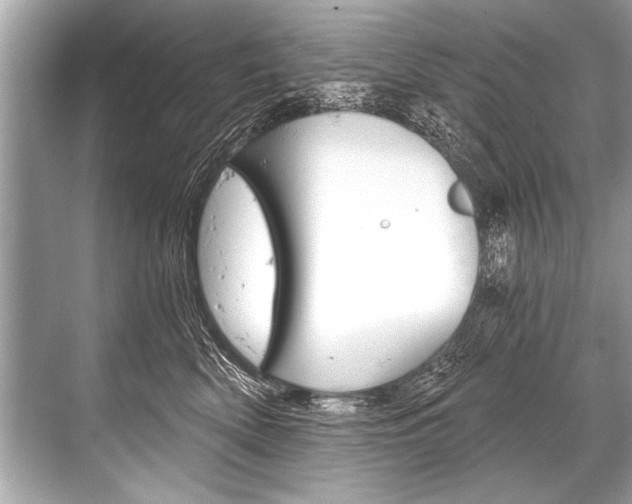 X0000068820522200605050945