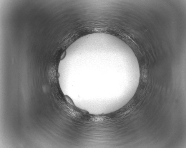 X0000068820523200605050945