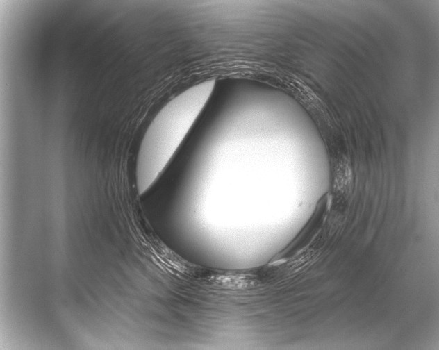 X0000068820524200605050945