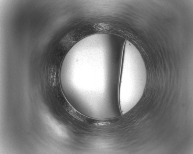 X0000068820525200605050945