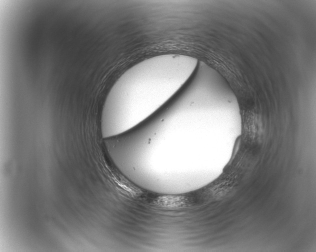 X0000068820526200605050945