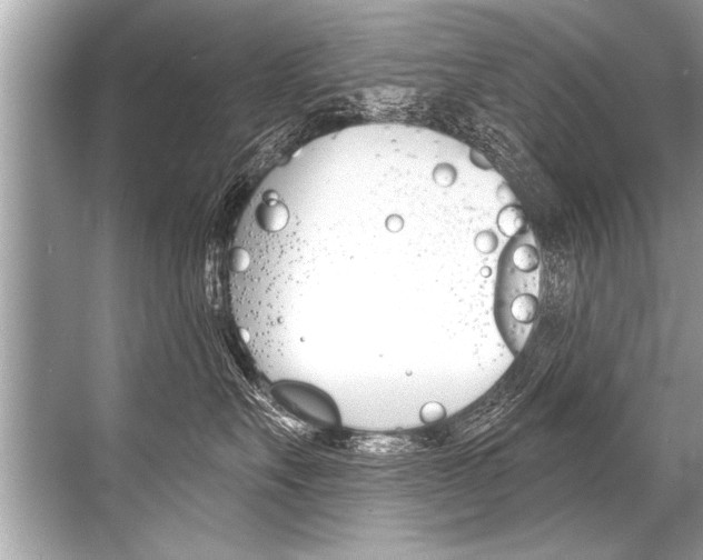 X0000068820527200605050945