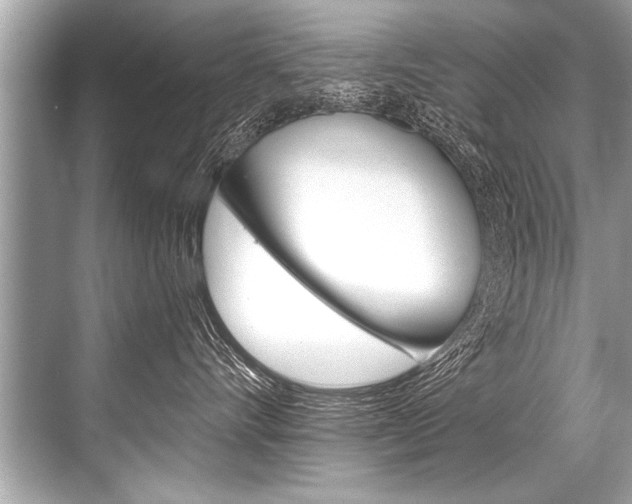 X0000068820528200605050945