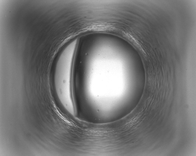 X0000068820530200605050945