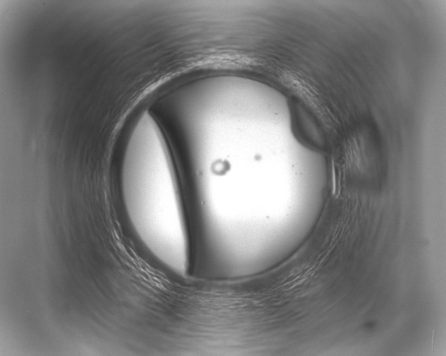 X0000068820531200605050945