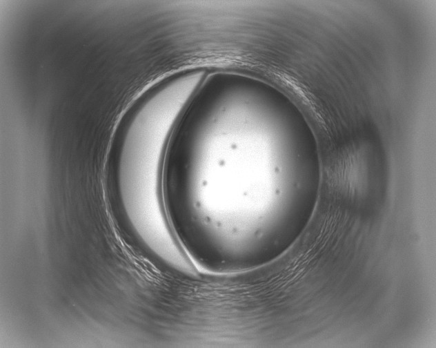 X0000068820532200605050945