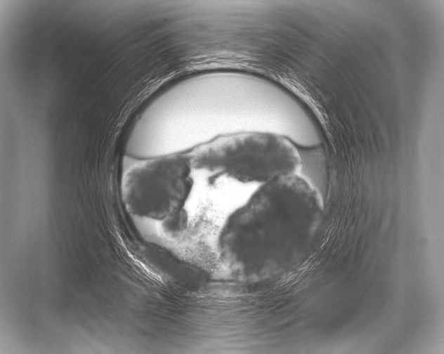 X0000068820533200605050945