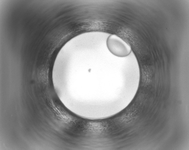 X0000068820534200605050945