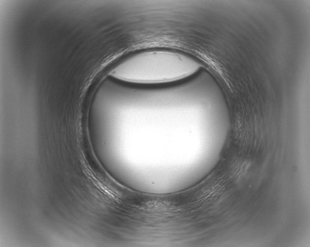 X0000068820535200605050945