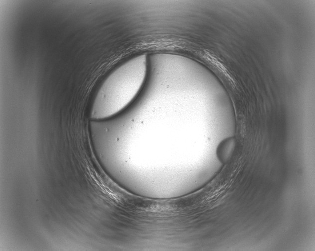 X0000068820537200605050945