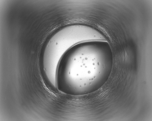 X0000068820538200605050945