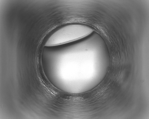 X0000068820539200605050945