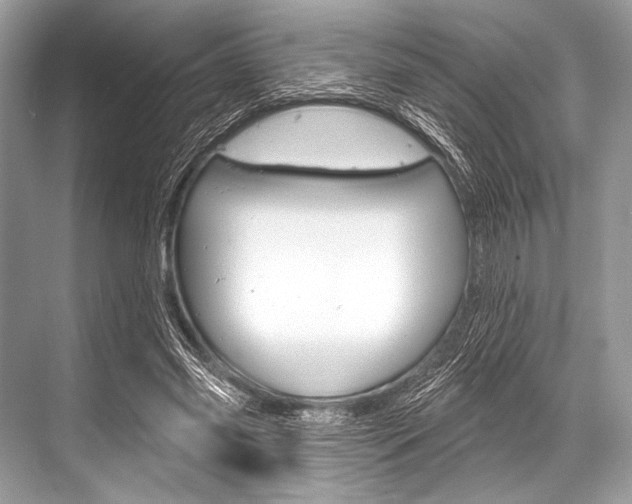 X0000068820541200605050945