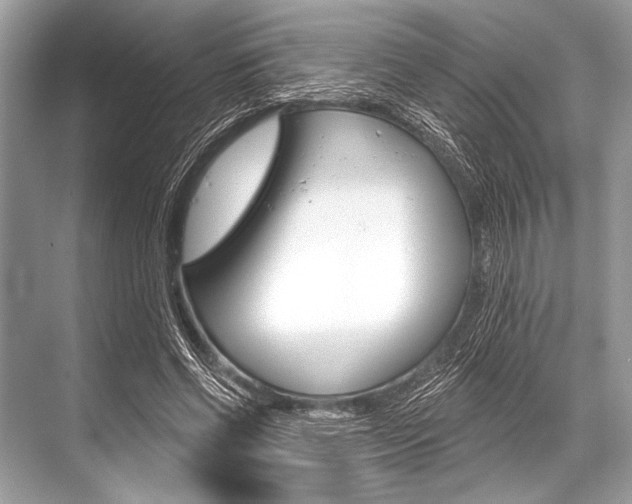 X0000068820542200605050945