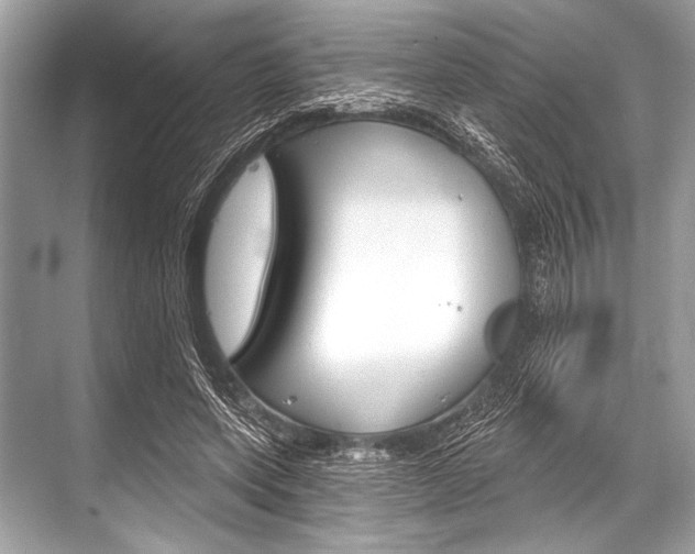 X0000068820543200605050945