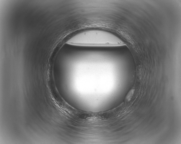 X0000068820544200605050945