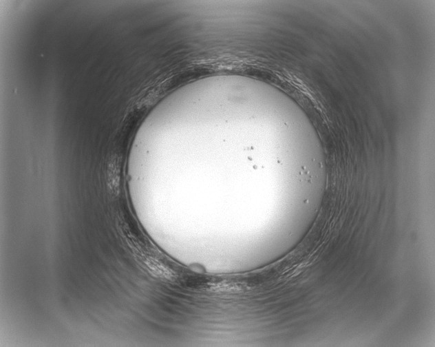 X0000068820545200605050945