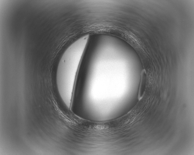 X0000068820546200605050945