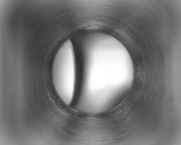 X0000068820547200605050945