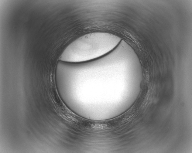 X0000068820549200605050945