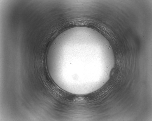 X0000068820551200605050945