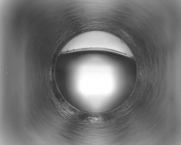 X0000068820552200605050945