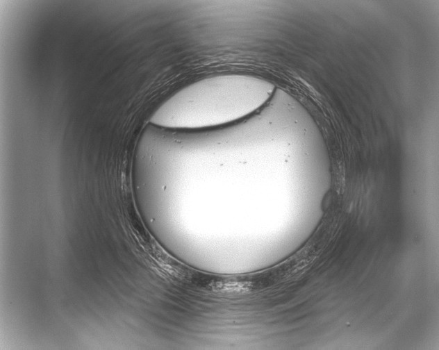 X0000068820553200605050945