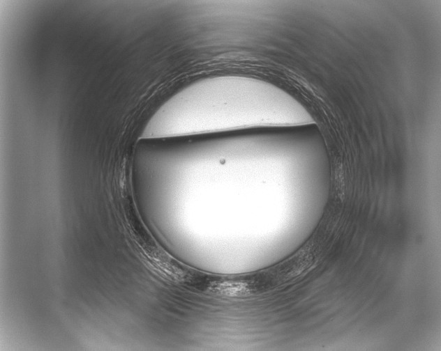 X0000068820554200605050945