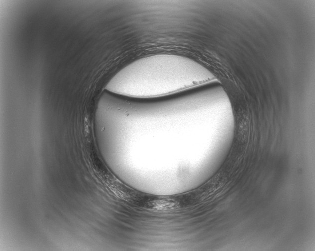 X0000068820555200605050945