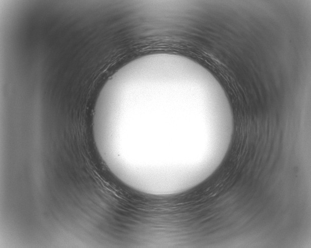 X0000068820556200605050945