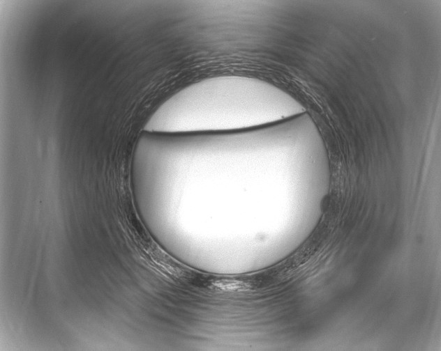 X0000068820557200605050945