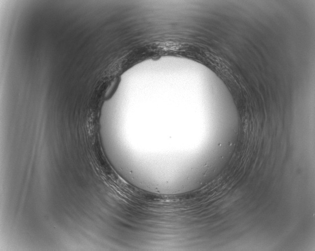 X0000068820559200605050945