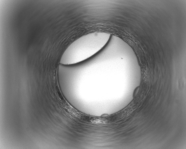 X0000068820561200605050945