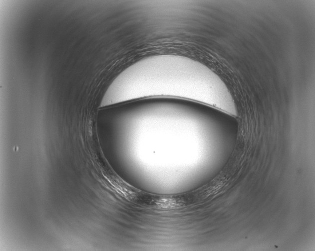 X0000068820562200605050945