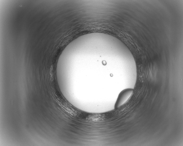 X0000068820563200605050945