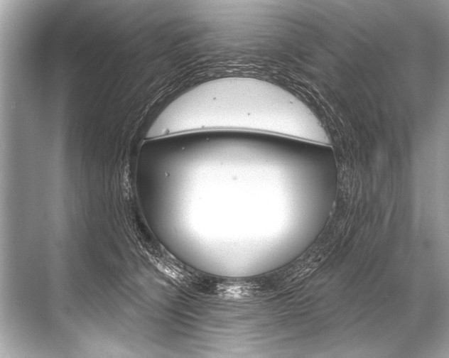 X0000068820564200605050945