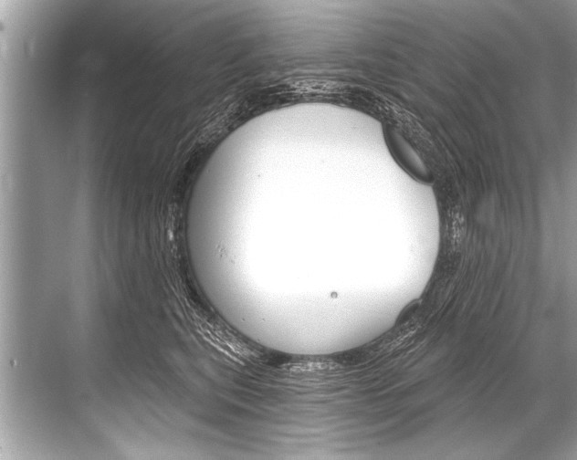 X0000068820567200605050945