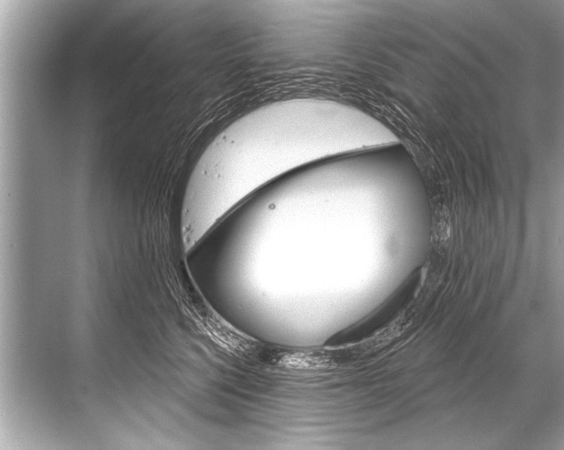 X0000068820568200605050945