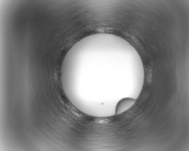 X0000068820569200605050945