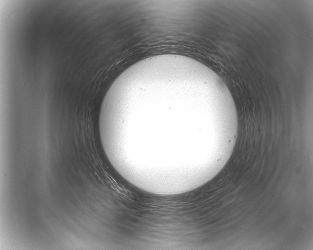 X0000068820570200605050945