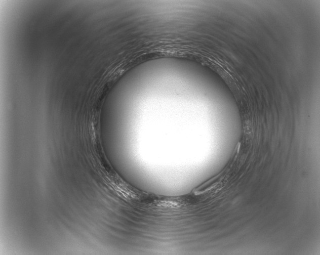 X0000068820572200605050945