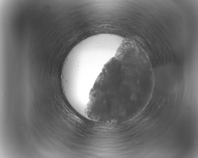 X0000068820573200605050945