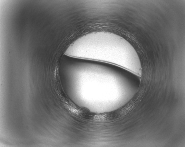 X0000068820574200605050945