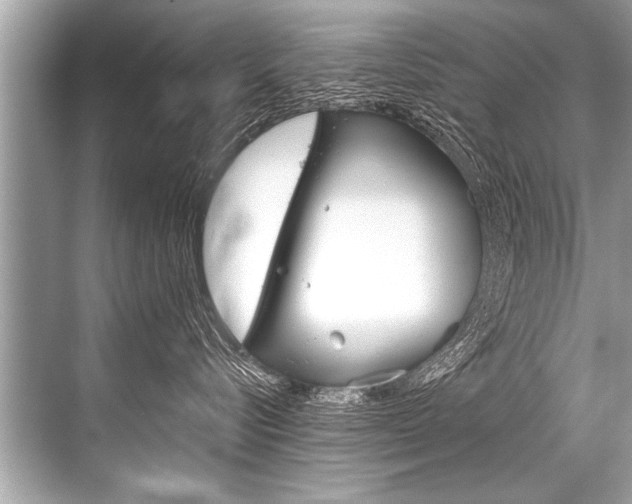 X0000068820576200605050945