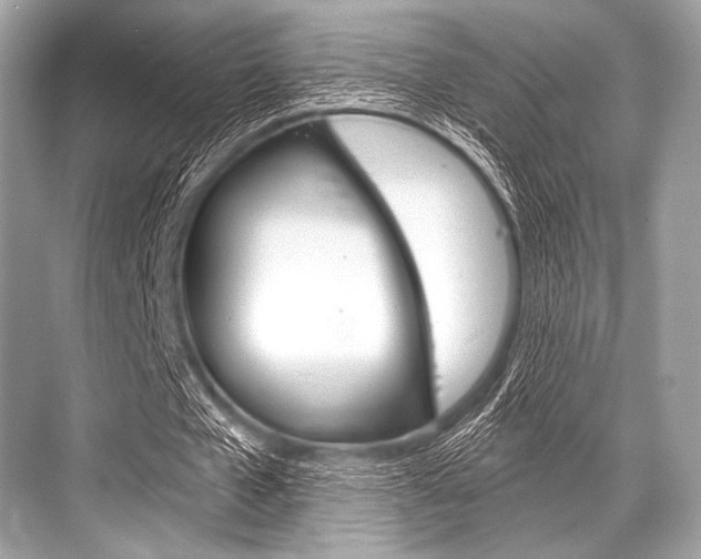 X0000068820577200605050944