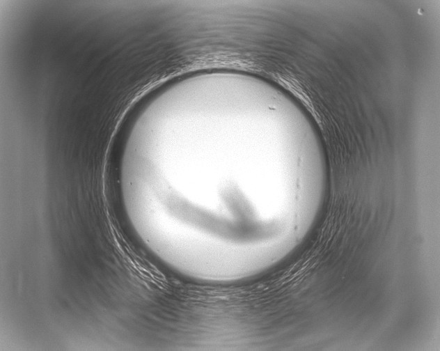 X0000068820579200605050944