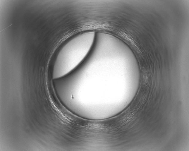 X0000068820582200605050944